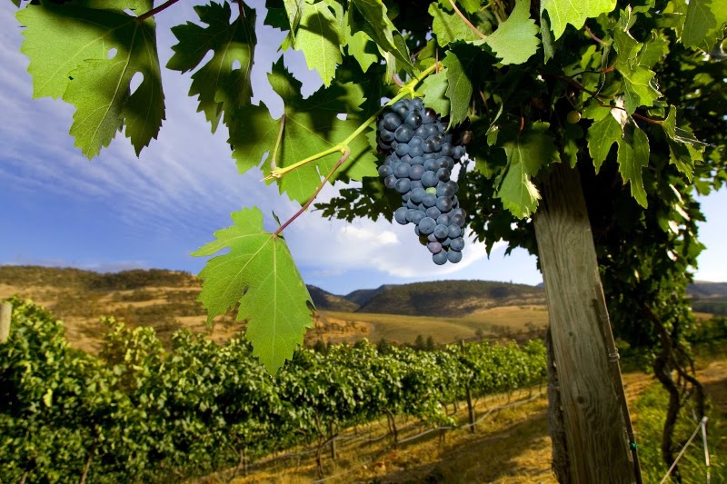 The Pines 1852 - Event Venue in Hood River, Oregon