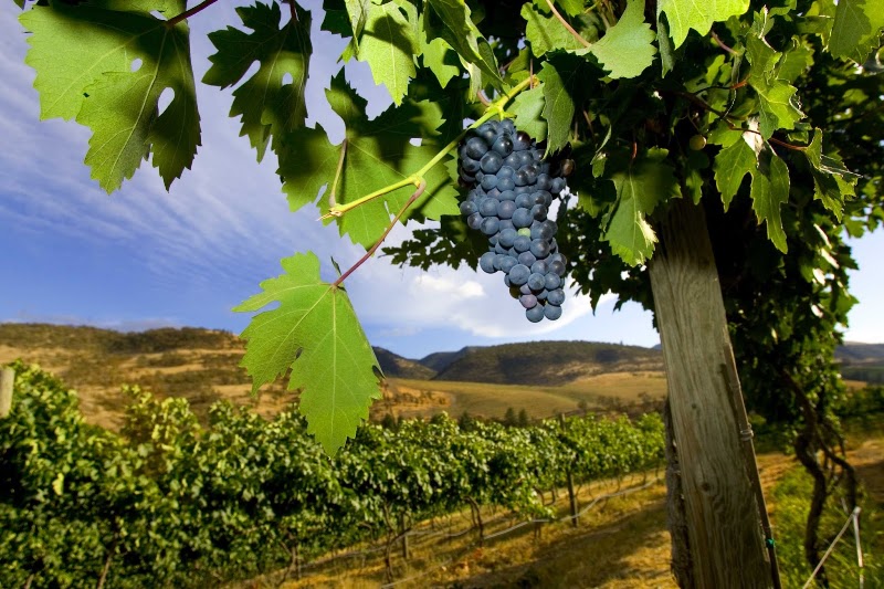 The Pines 1852 - Event Venue in Hood River, Oregon