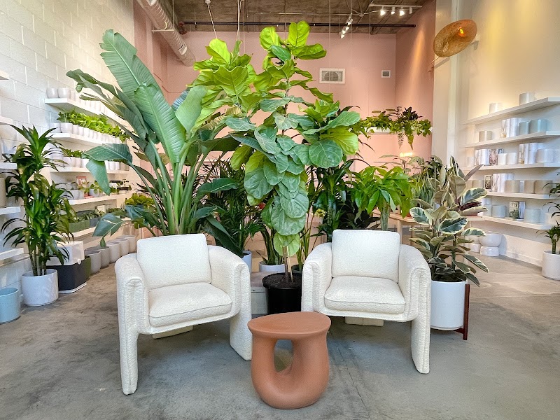 The Preserve - Event Venue in San Jose, California