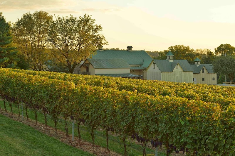 Boordy Vineyards Inc - Event Venue in Hydes, Maryland
