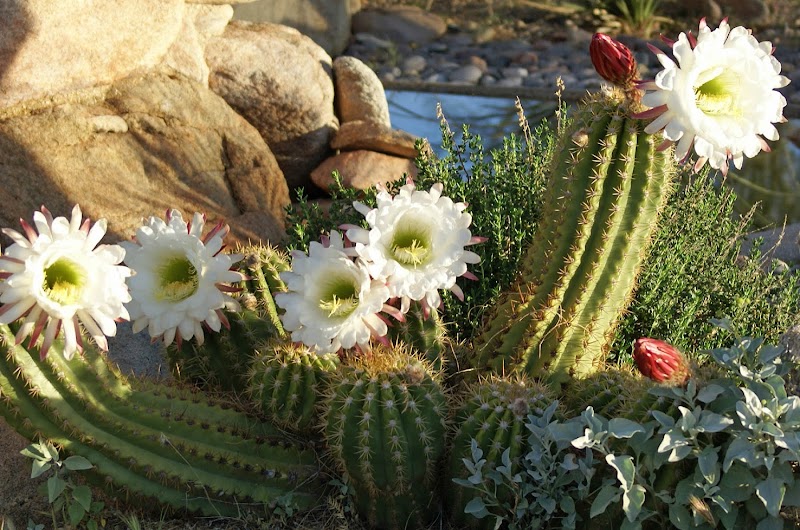 Spirit in the Desert Retreat Center - Event Venue in Carefree, Arizona