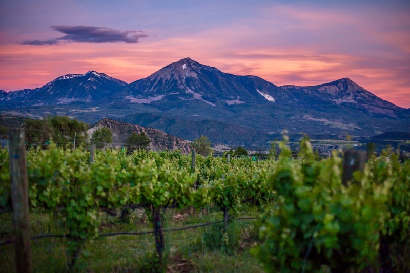 Stone Cottage Cellars - Event Venue in Paonia, Colorado
