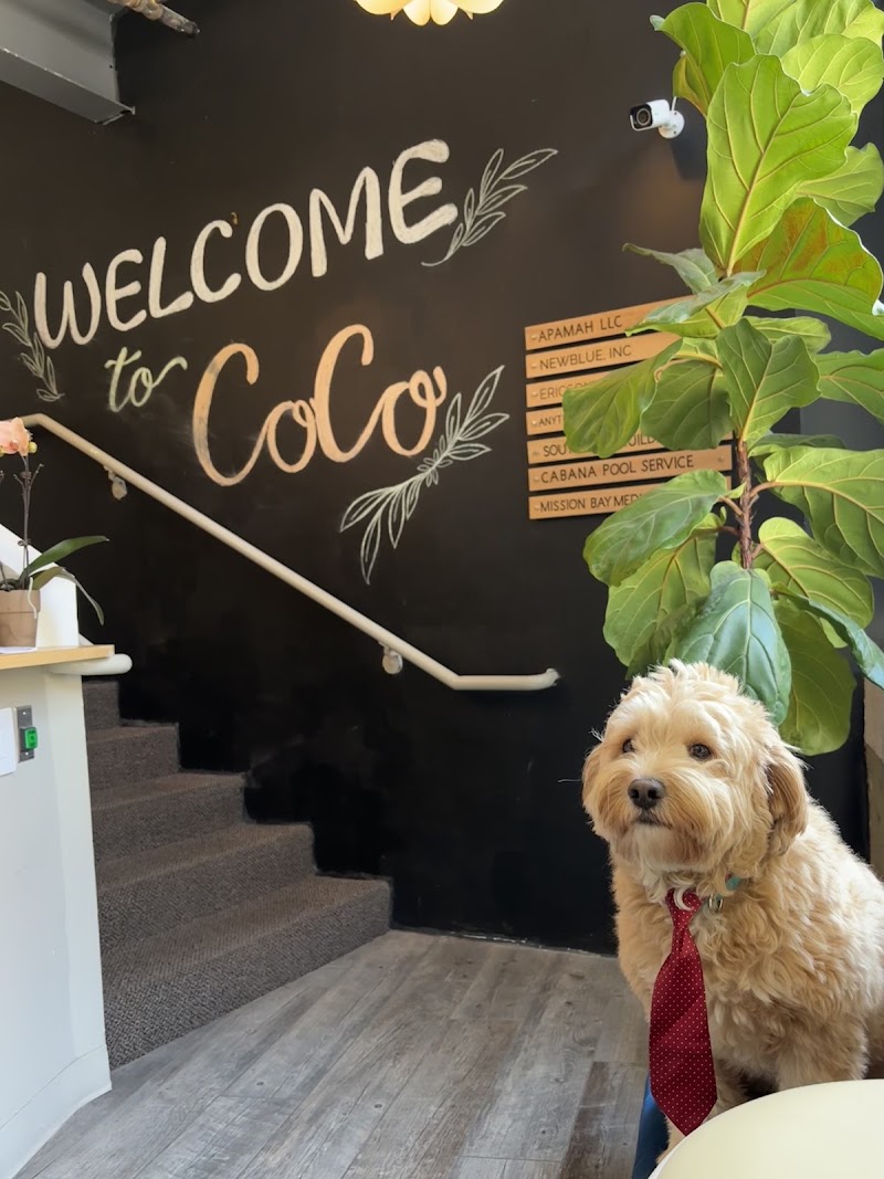 Cowork + Connect | Coworking Space San Diego - Event Venue in San Diego, California