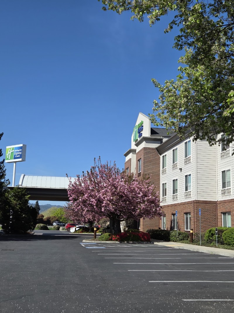 Holiday Inn Express & Suites Medford-Central Point by IHG - Event Venue in Central Point, Oregon