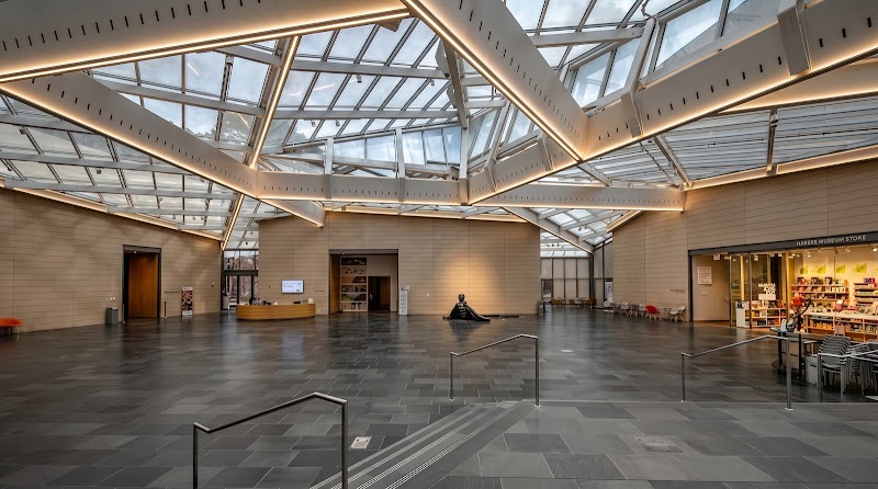 Nasher Museum of Art at Duke University - Event Venue in Durham, North Carolina