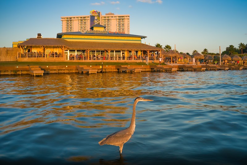 Margaritaville Lake Resort - Event Venue in Montgomery, Texas