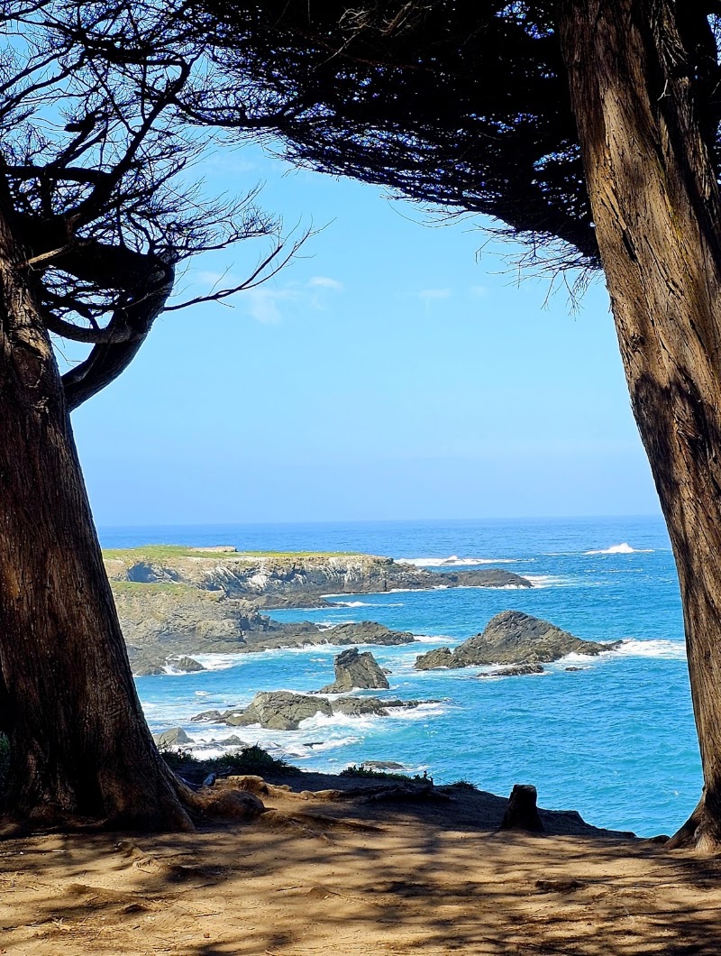 Cypress Grove - Event Venue in Mendocino, California