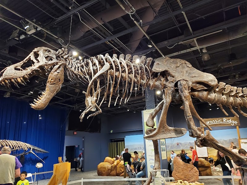 Orlando Science Center - Event Venue in Orlando, Florida