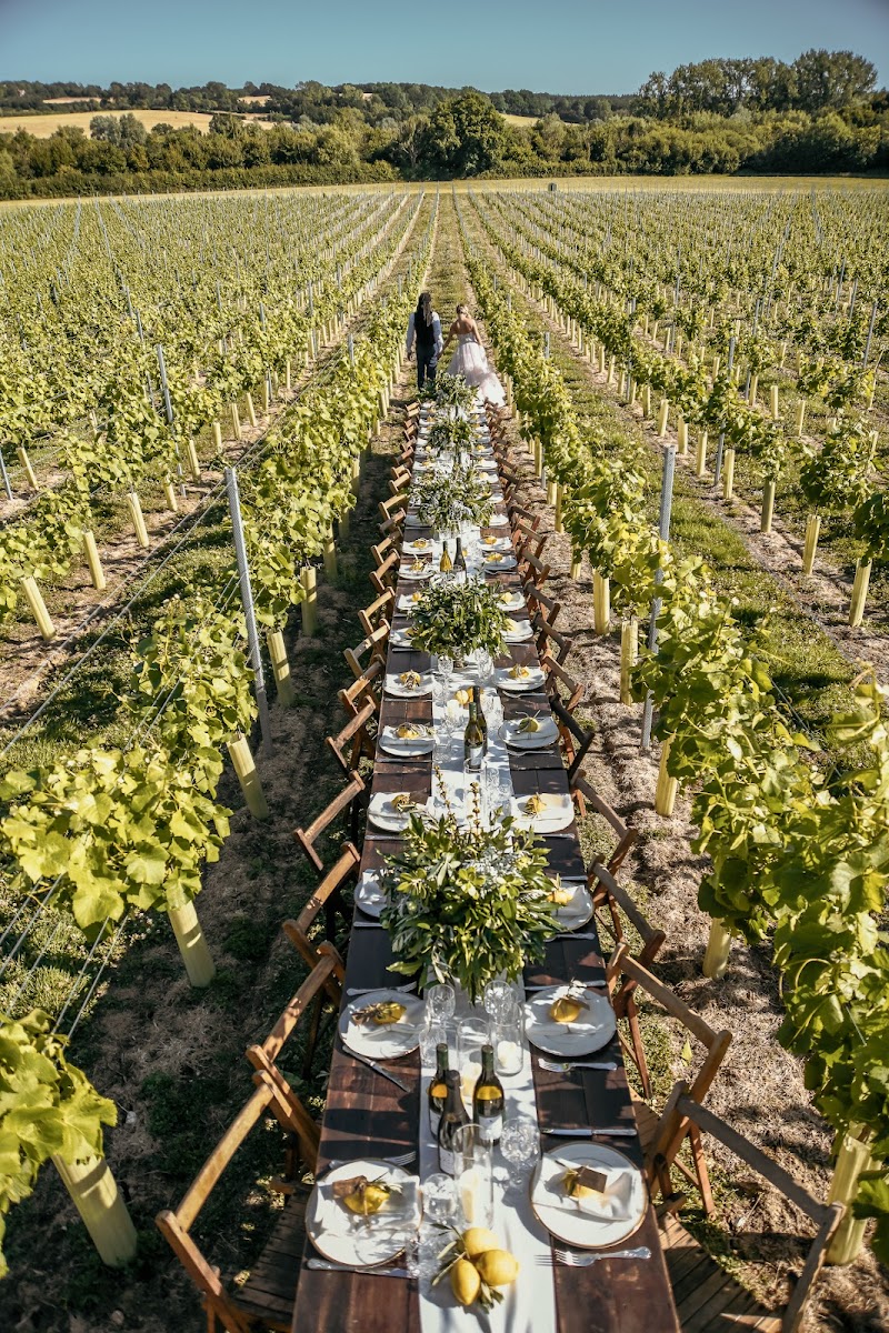 Oastbrook Estate Vineyard - Event Venue in Bodiam, England