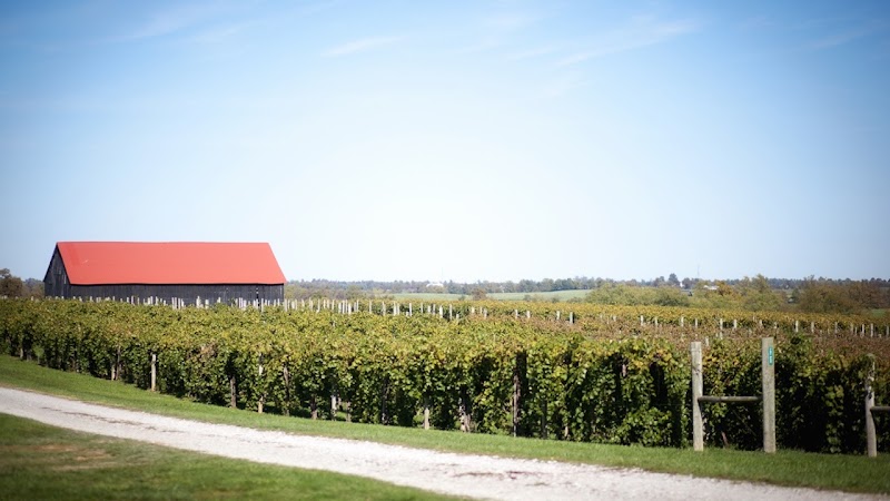 Talon Winery & Vineyards - Event Venue in Lexington, Kentucky