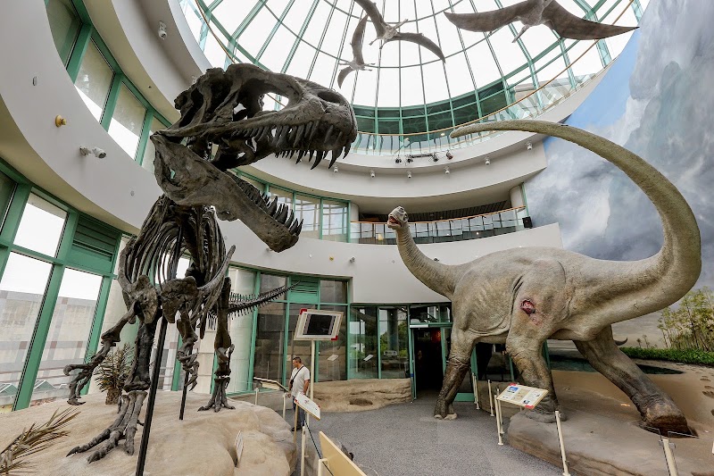 North Carolina Museum of Natural Sciences - Event Venue in Raleigh, North Carolina