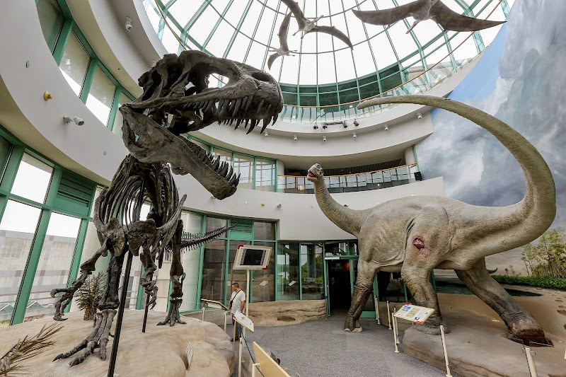 North Carolina Museum of Natural Sciences - Event Venue in Raleigh, North Carolina