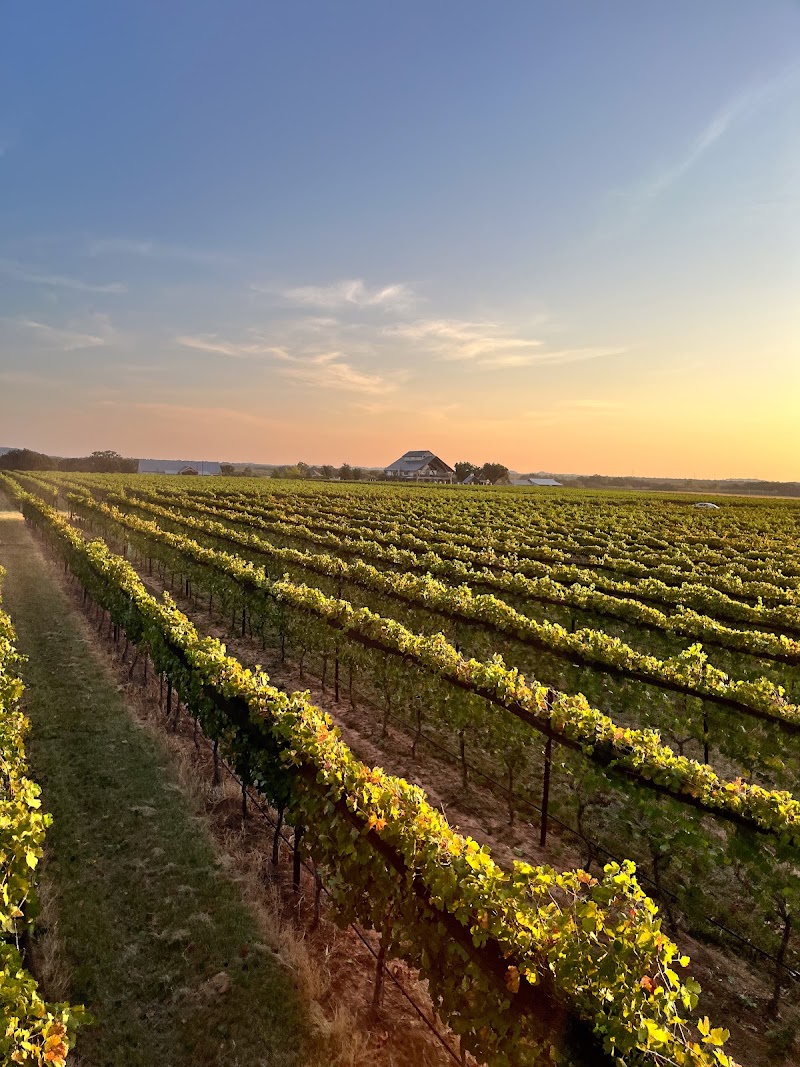 Augusta Vin - Event Venue in Fredericksburg, Texas