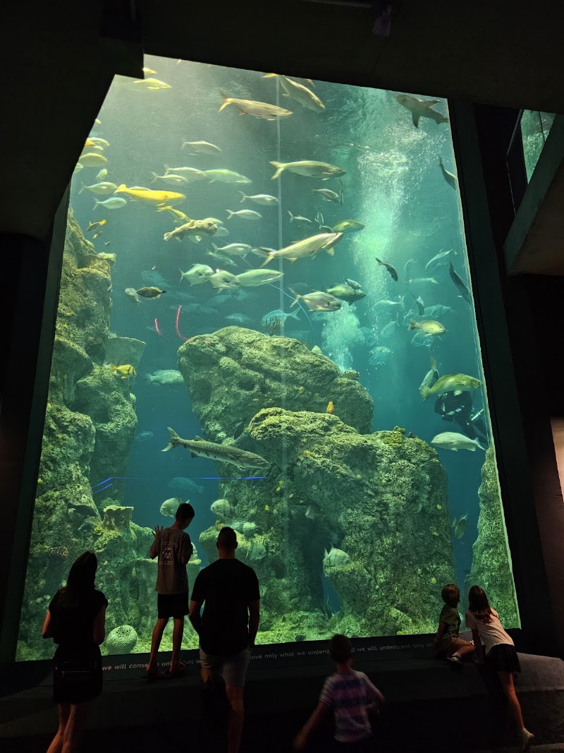 South Carolina Aquarium - Event Venue in Charleston, South Carolina