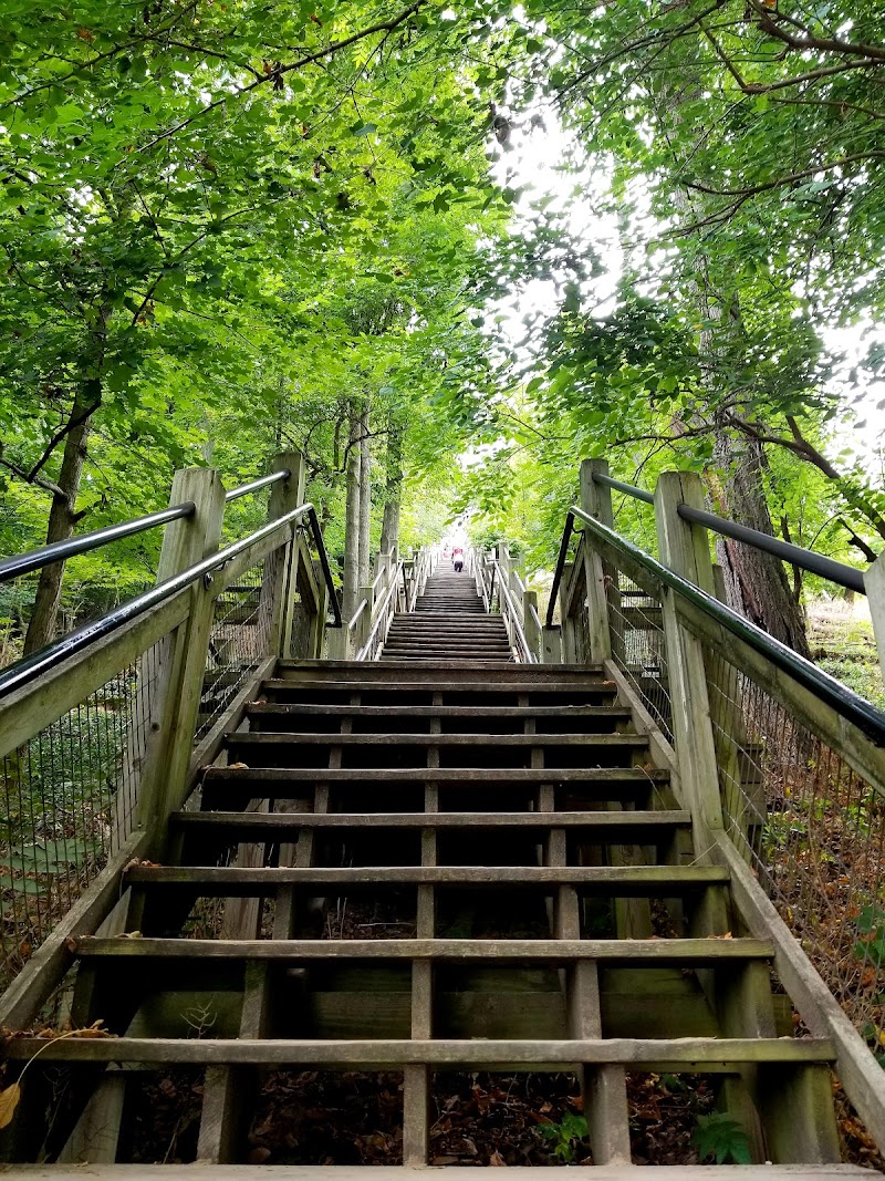 Mount Baldhead Park - Event Venue in Saugatuck, Michigan