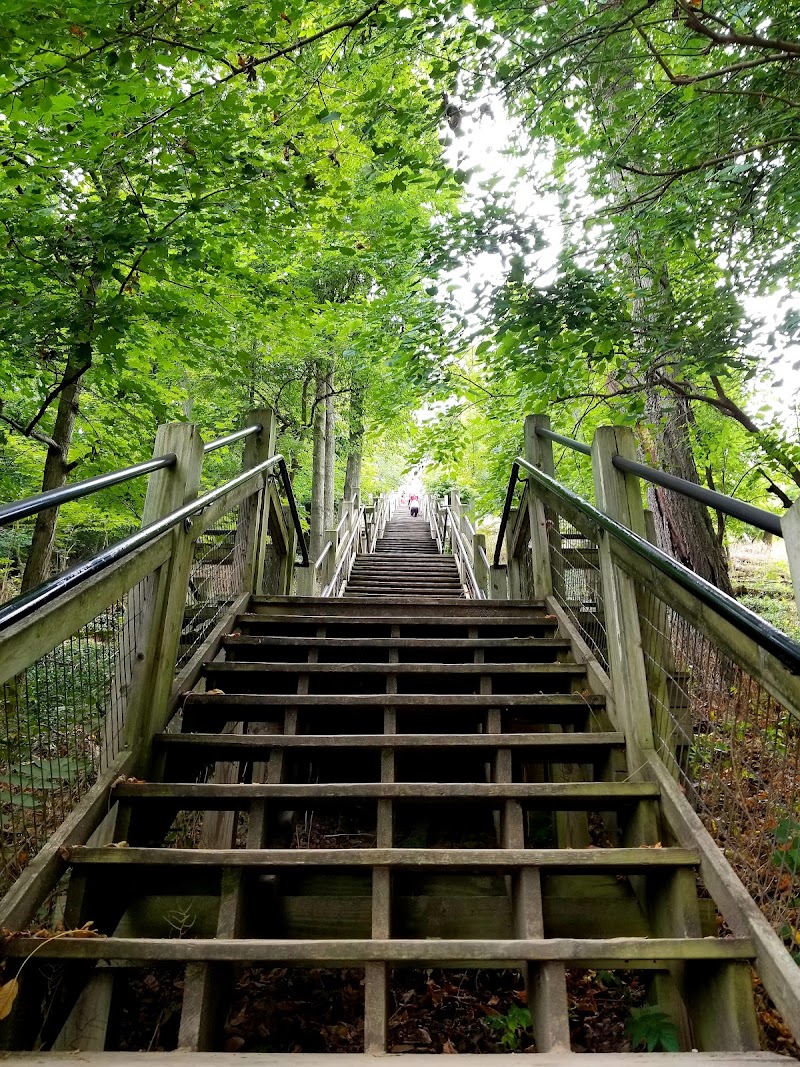 Mount Baldhead Park - Event Venue in Saugatuck, Michigan