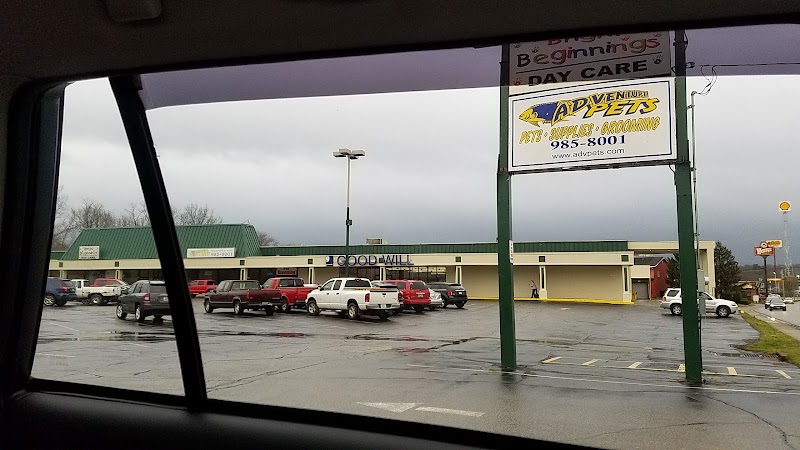 Prince Royal Plaza - Event Venue in Berea, Kentucky