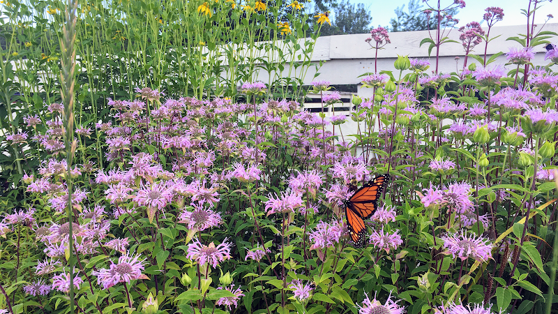 Wells Reserve at Laudholm - Event Venue in Wells, Maine
