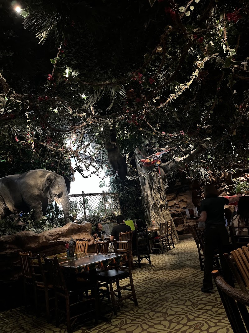 Vegas Craft Beer Tour - Event Venue in Las Vegas, Nevada