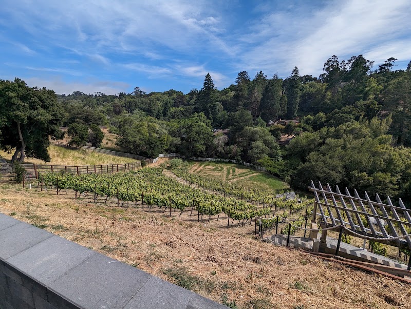 Perfusion Vineyard - Event Venue in Richmond, California