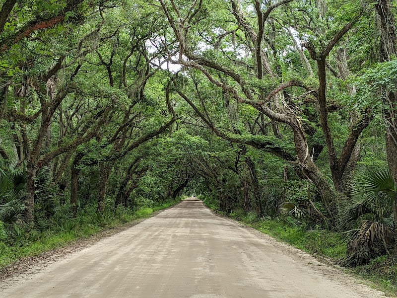 Botany Bay Heritage Preserve/Wildlife Management Area - Event Venue in Edisto Island, South Carolina