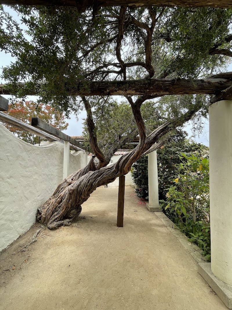 Memory Garden - Event Venue in Monterey, California