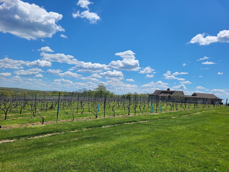 Cassidy Hill Vineyard - Event Venue in Coventry, Connecticut