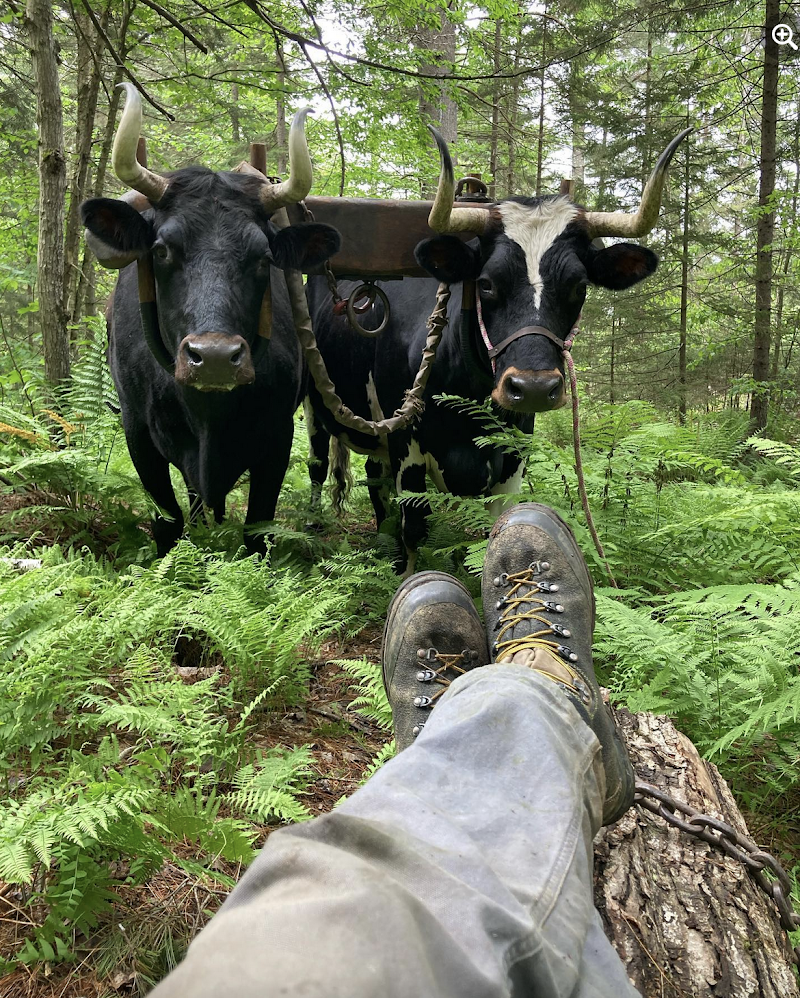 Earthwise Farm And Forest - Event Venue in Randolph, Vermont
