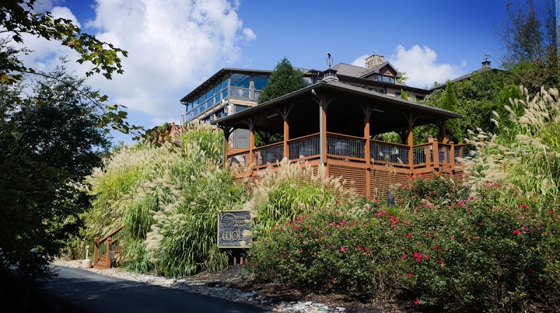 Wolf Mountain Vineyards - Event Venue in Dahlonega, Georgia