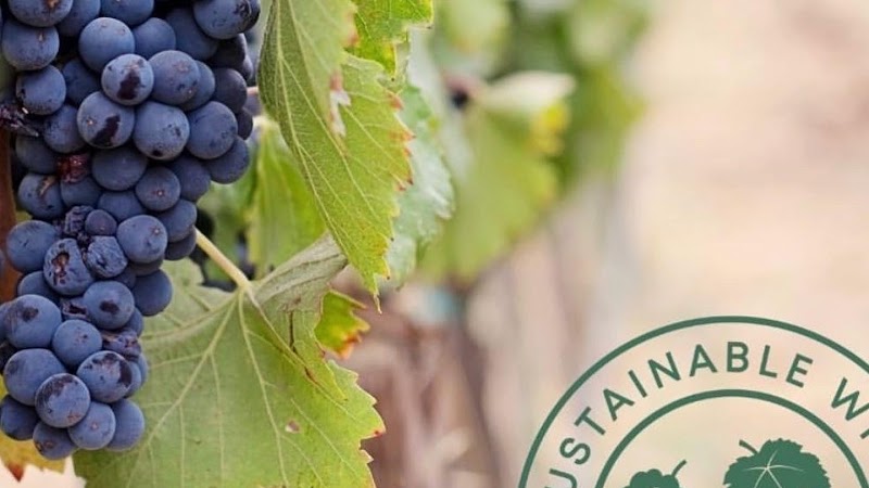 Chet Valley Vineyard - Event Venue in Norwich, Norfolk