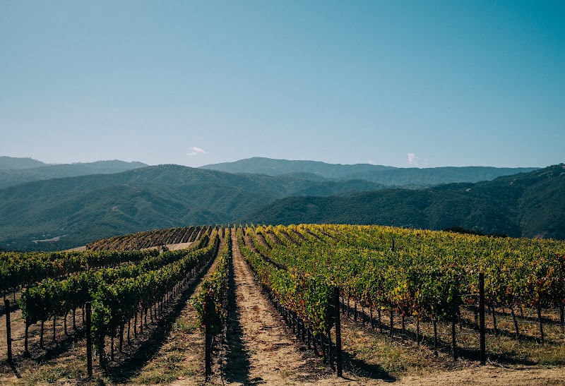 Holman Ranch - Event Venue in Carmel Valley, California