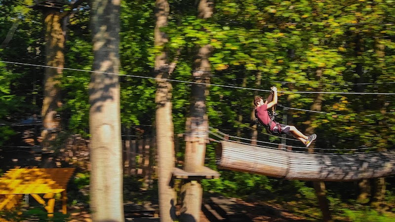 The Adventure Park at the Discovery Museum - Event Venue in Bridgeport, Connecticut