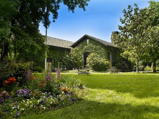 Dry Creek Vineyard - Event Venue in Healdsburg, California
