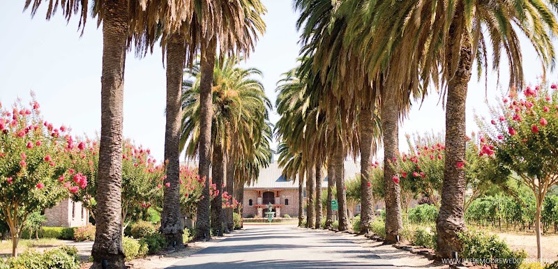 Palm Event Center in the Vineyard - Event Venue in Pleasanton, California