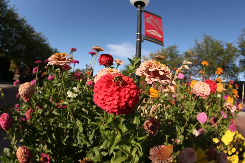 Northwest College - Event Venue in Powell, Wyoming