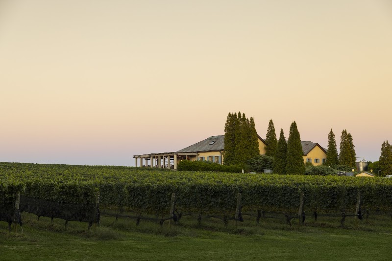 Wölffer Estate Vineyard - Event Venue in Sagaponack, New York