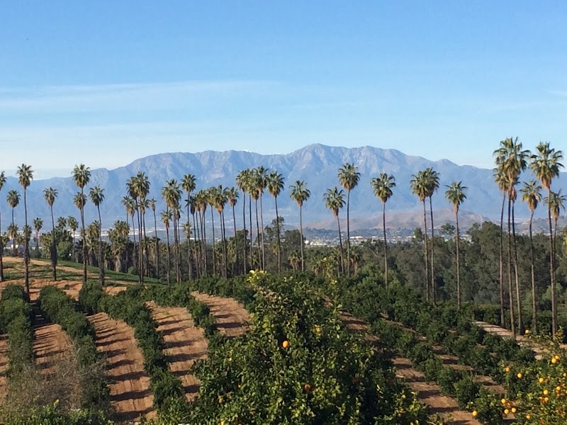 California Citrus State Historic Park - Event Venue in Riverside, California