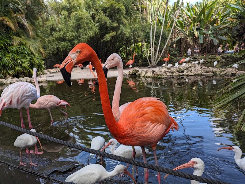 Flamingo Gardens - Event Venue in Davie, Florida