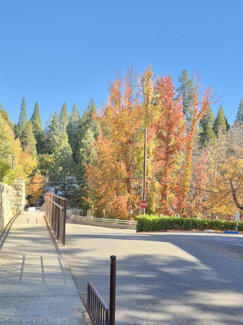 Nevada City, CA Elks Lodge #518 - Event Venue in Nevada City, California