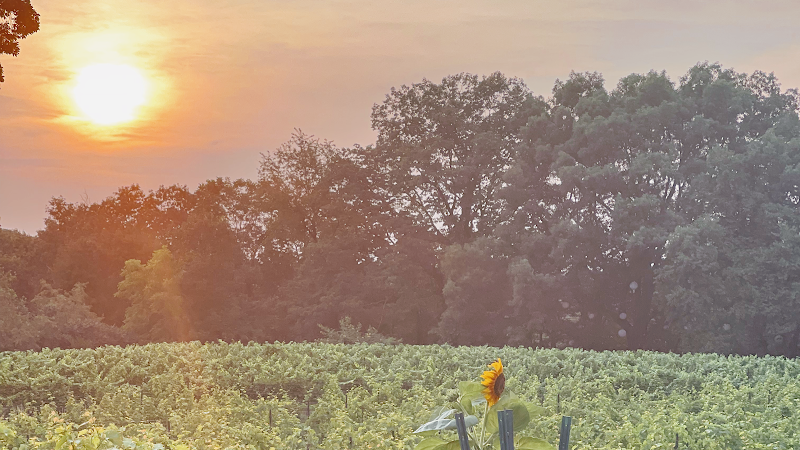Monterre Vineyards - Event Venue in Lehigh County, Pennsylvania