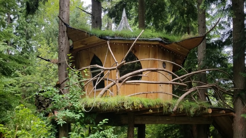 Mountain View's Tree House Joint - Event Venue in Monroe, Washington