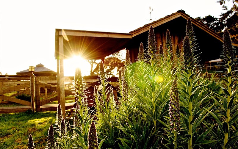 Stanford Inn & Resort on the Mendocino Coast - Event Venue in Mendocino, California