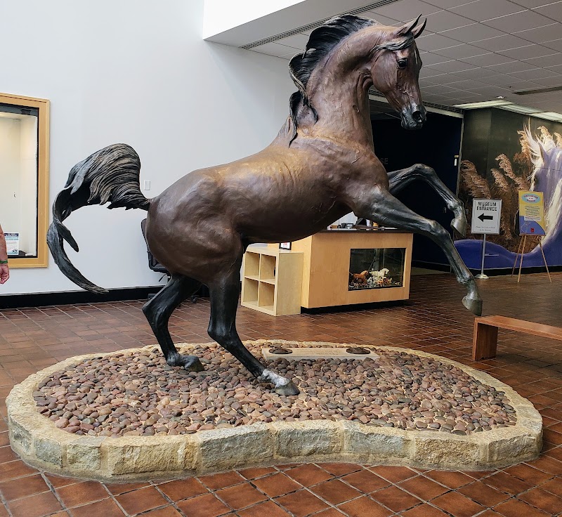 International Museum of the Horse - Event Venue in Lexington, Kentucky