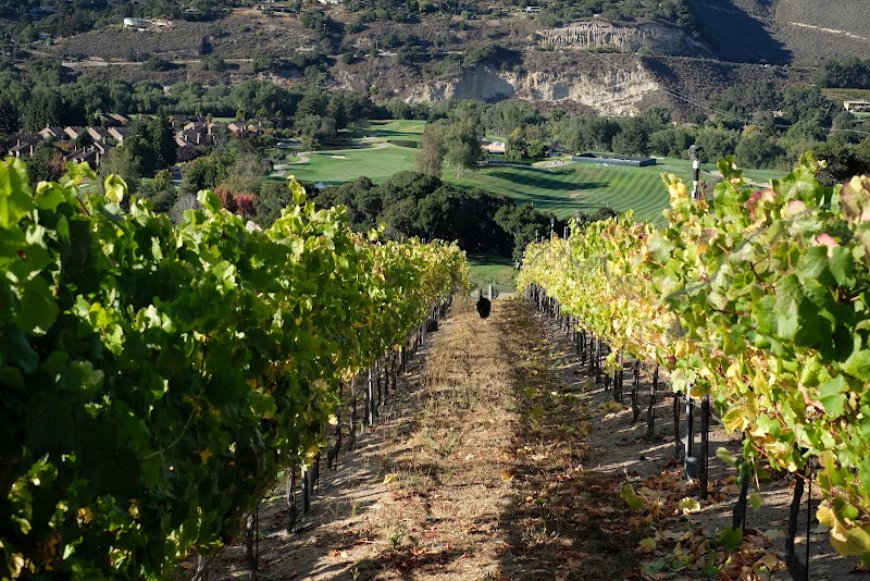 Carmel Valley Ranch Vineyard - Event Venue in Carmel, California