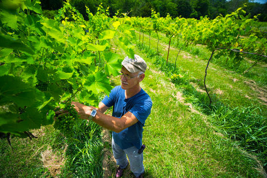 Railway Winery & Vineyards - Event Venue in Eureka Springs, Arkansas