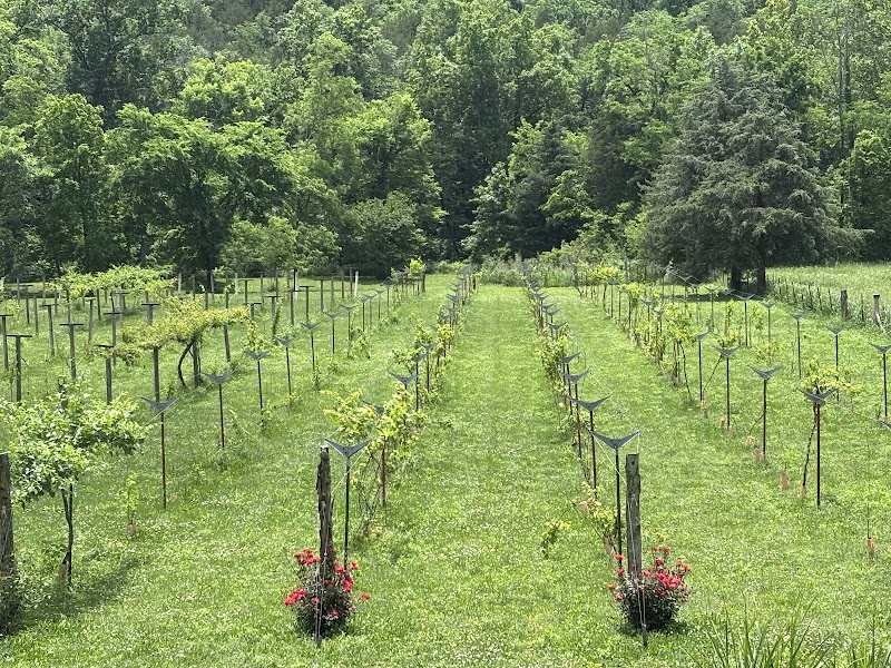Railway Winery & Vineyards - Event Venue in Eureka Springs, Arkansas