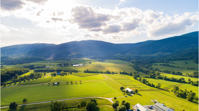 King Family Vineyards - Event Venue in Crozet, Virginia