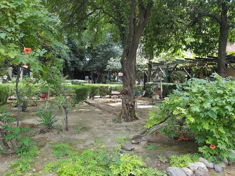The Yolanda Ranch - Event Venue in Woodland, California
