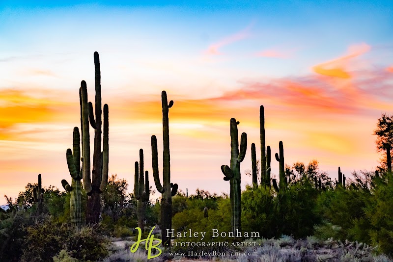 Desert Foothills Events and Weddings - Event Venue in Scottsdale, Arizona