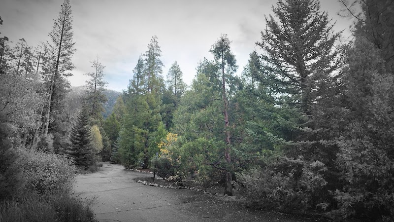 Woodland Park Manor - Event Venue in Idyllwild-Pine Cove, California